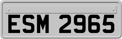 ESM2965