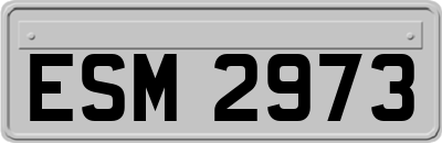 ESM2973