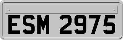 ESM2975