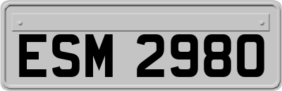 ESM2980