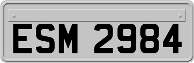 ESM2984