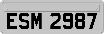 ESM2987