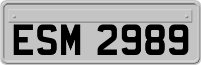 ESM2989