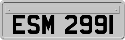 ESM2991
