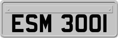 ESM3001