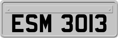 ESM3013