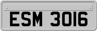 ESM3016