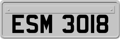 ESM3018