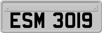 ESM3019