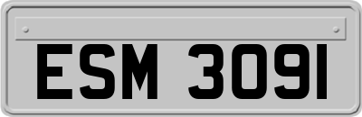 ESM3091