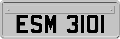 ESM3101