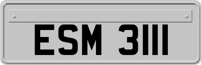 ESM3111