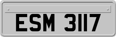 ESM3117