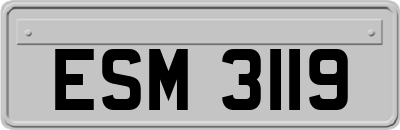 ESM3119