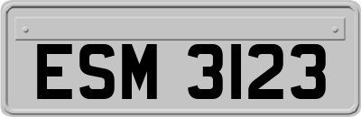 ESM3123