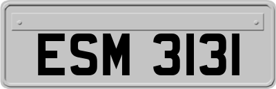 ESM3131