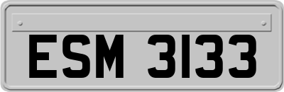 ESM3133