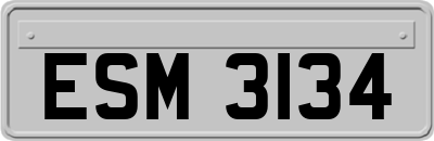 ESM3134