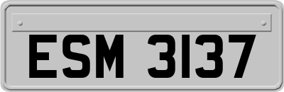 ESM3137