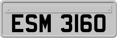 ESM3160