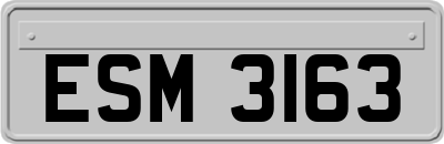 ESM3163