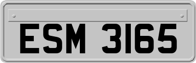 ESM3165