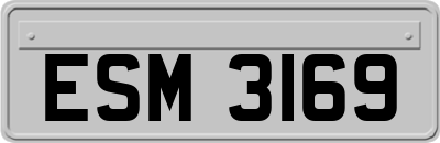 ESM3169