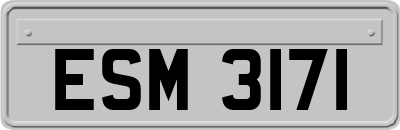 ESM3171