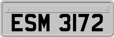 ESM3172