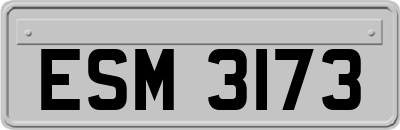 ESM3173