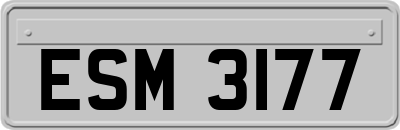 ESM3177