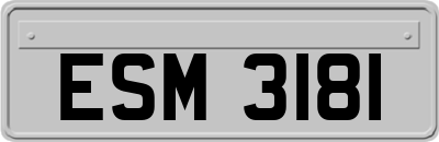 ESM3181
