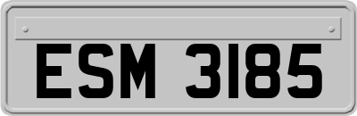 ESM3185