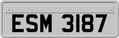 ESM3187