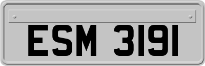 ESM3191