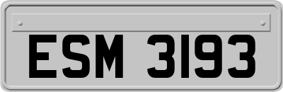 ESM3193