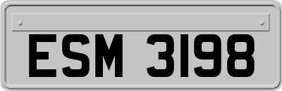 ESM3198