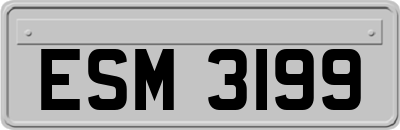ESM3199
