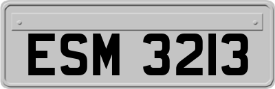 ESM3213