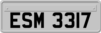 ESM3317