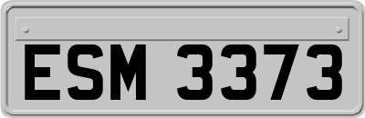ESM3373