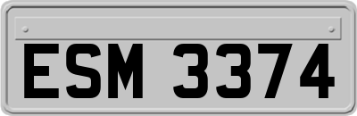 ESM3374