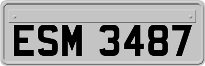 ESM3487