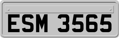ESM3565