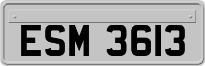 ESM3613