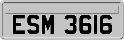 ESM3616