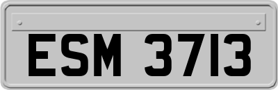 ESM3713