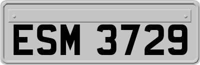 ESM3729