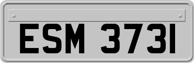 ESM3731