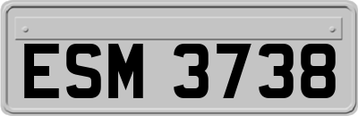 ESM3738